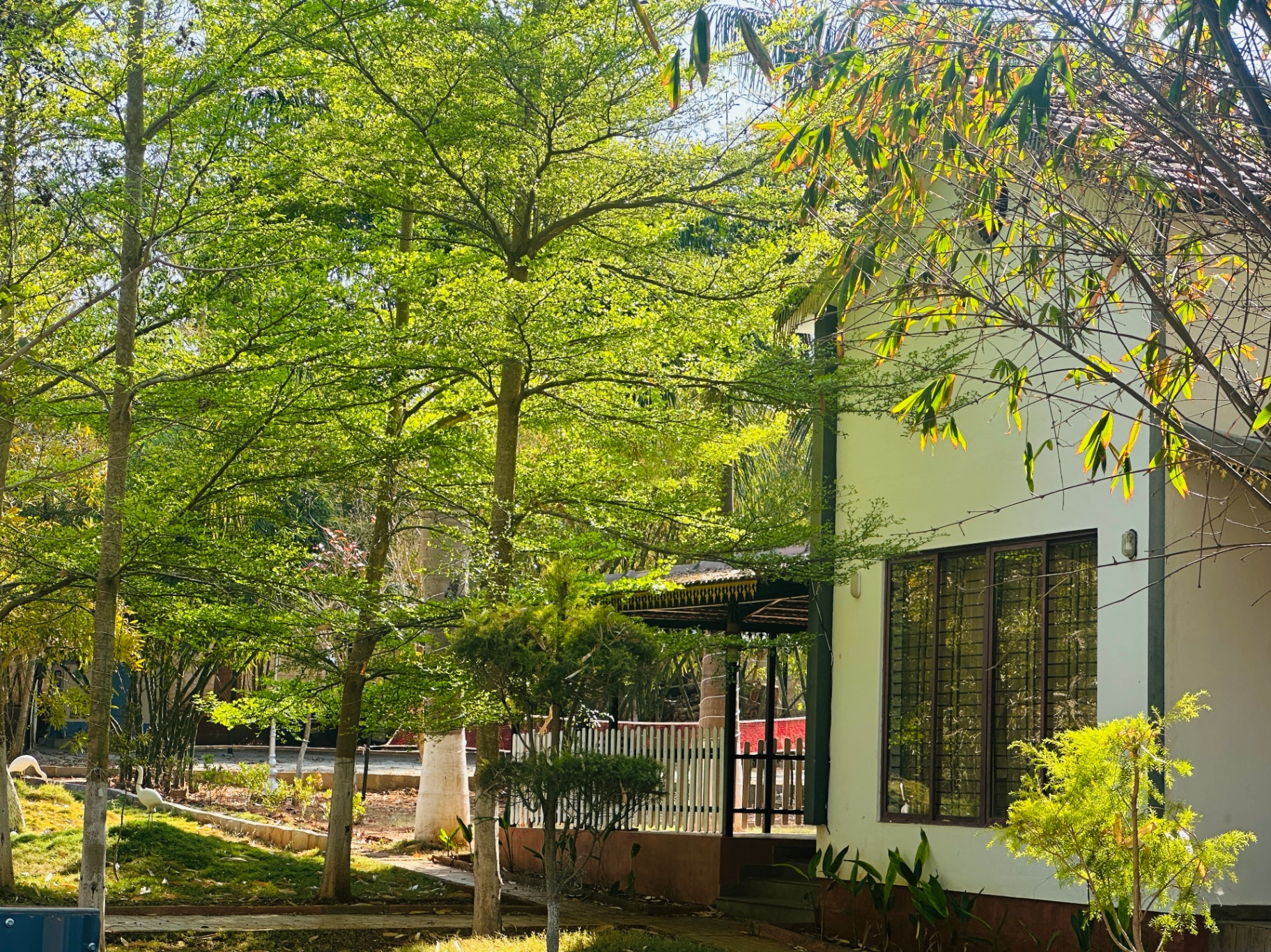 Premium 2 BHK AC Villa