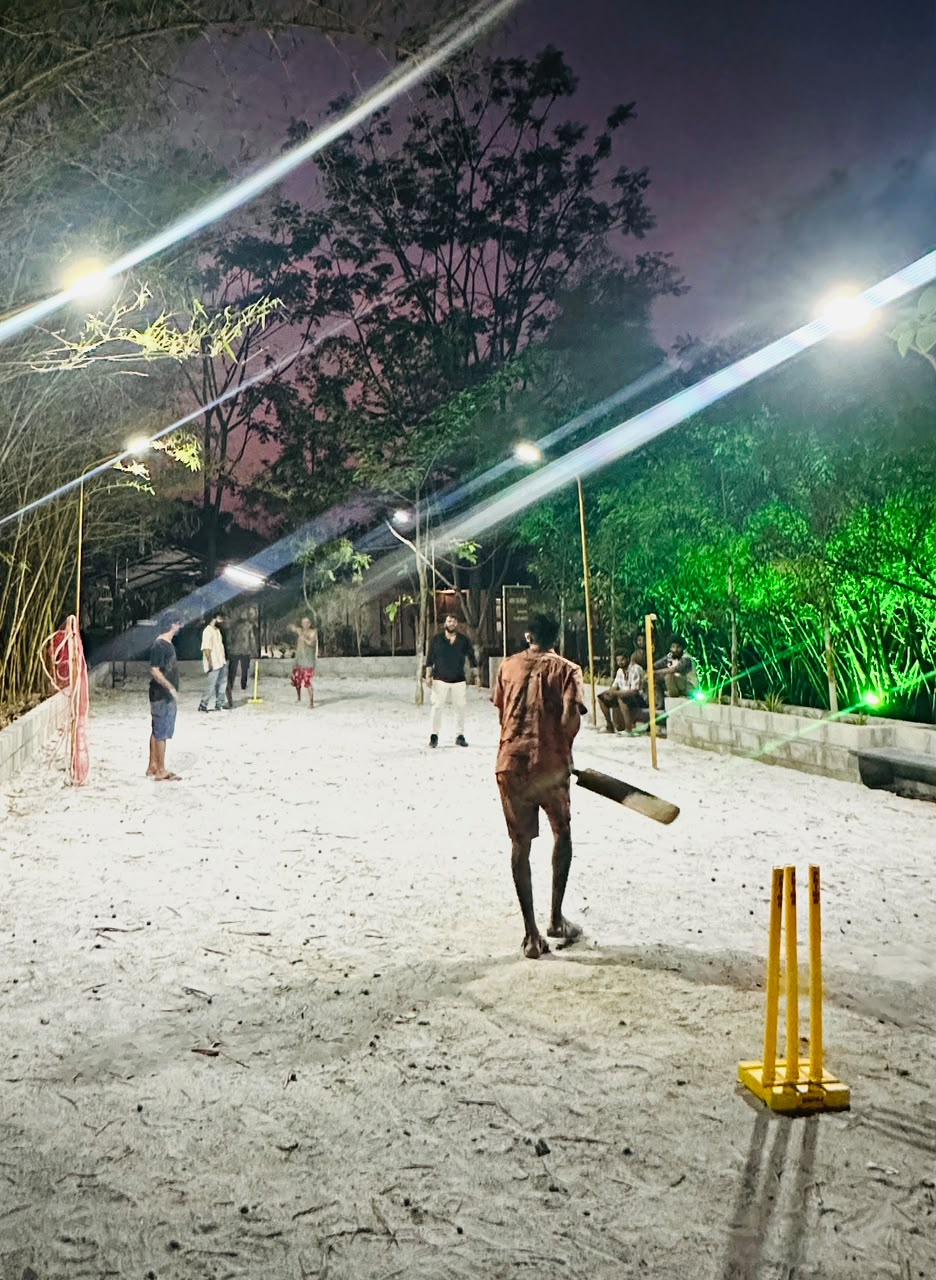 Outdoor Cricket