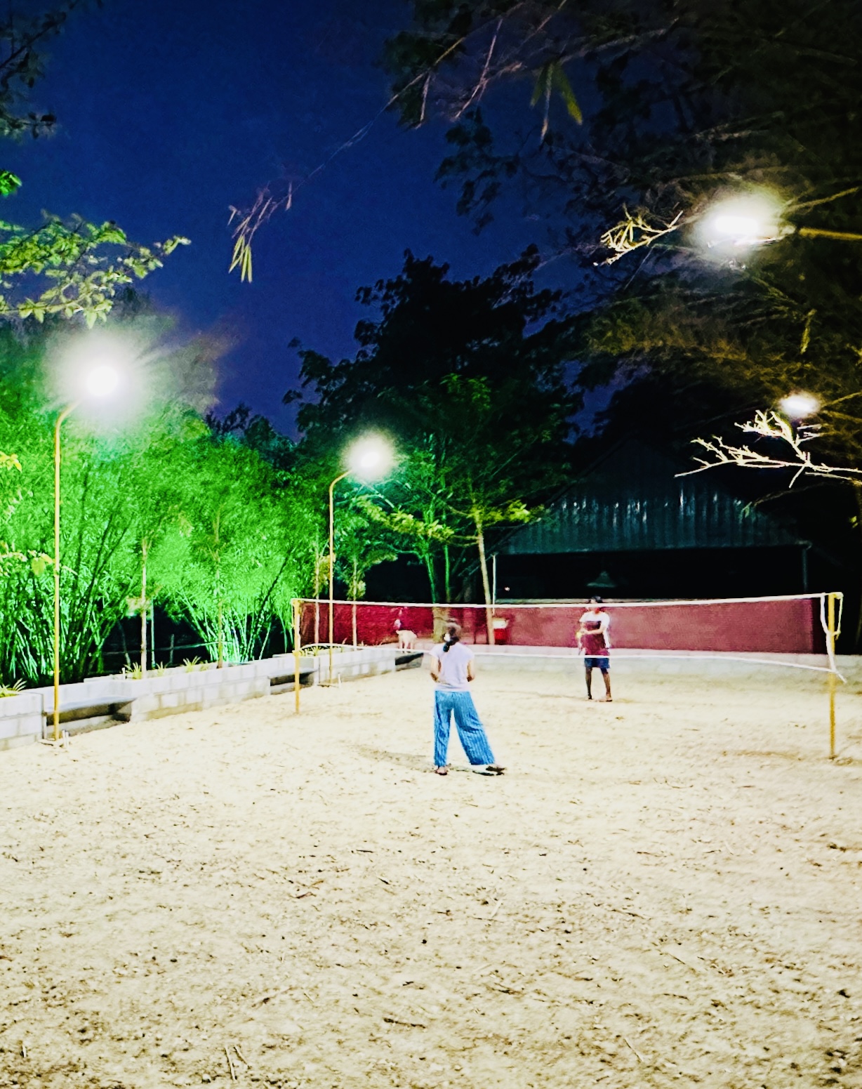 Badminton & Volleyball Court