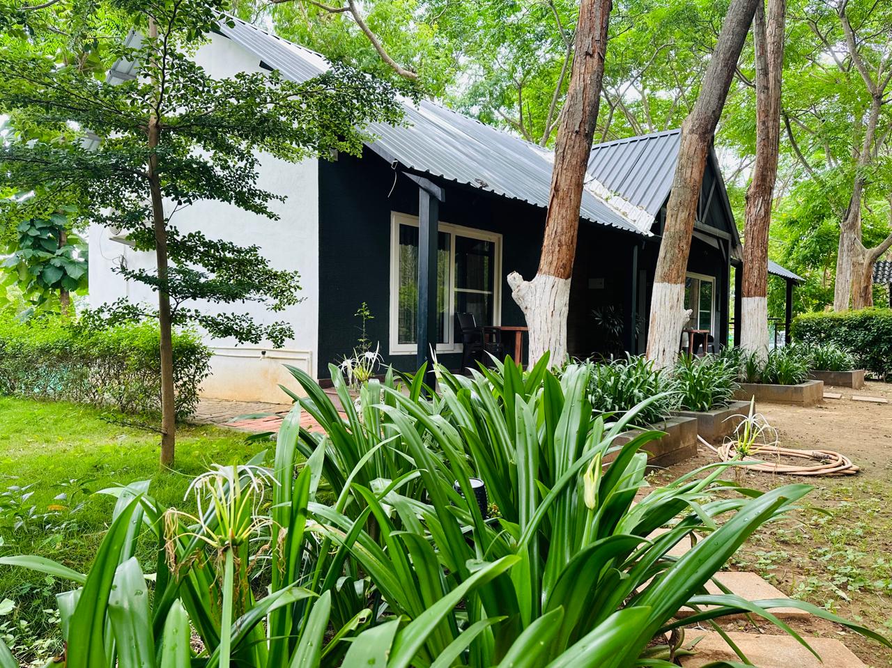 Nature cottage exterior framed by lush garden plants