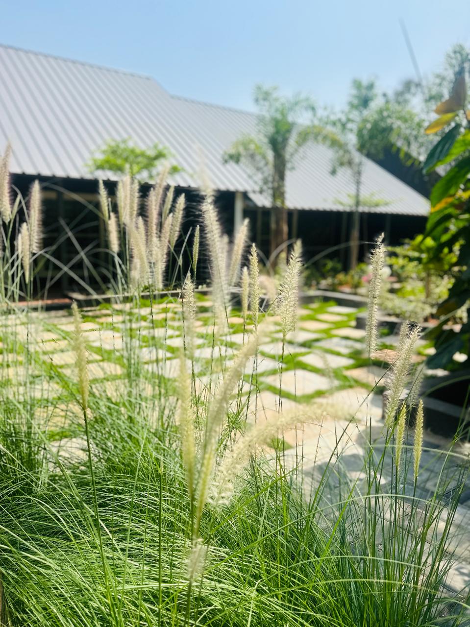 Pampas grass swaying in front of the flagstone pavilion