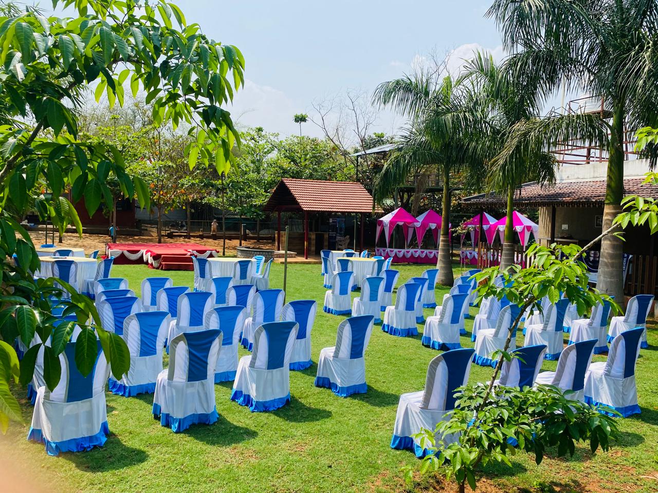 Blue and white banquet chairs arranged on the lawn for a celebration