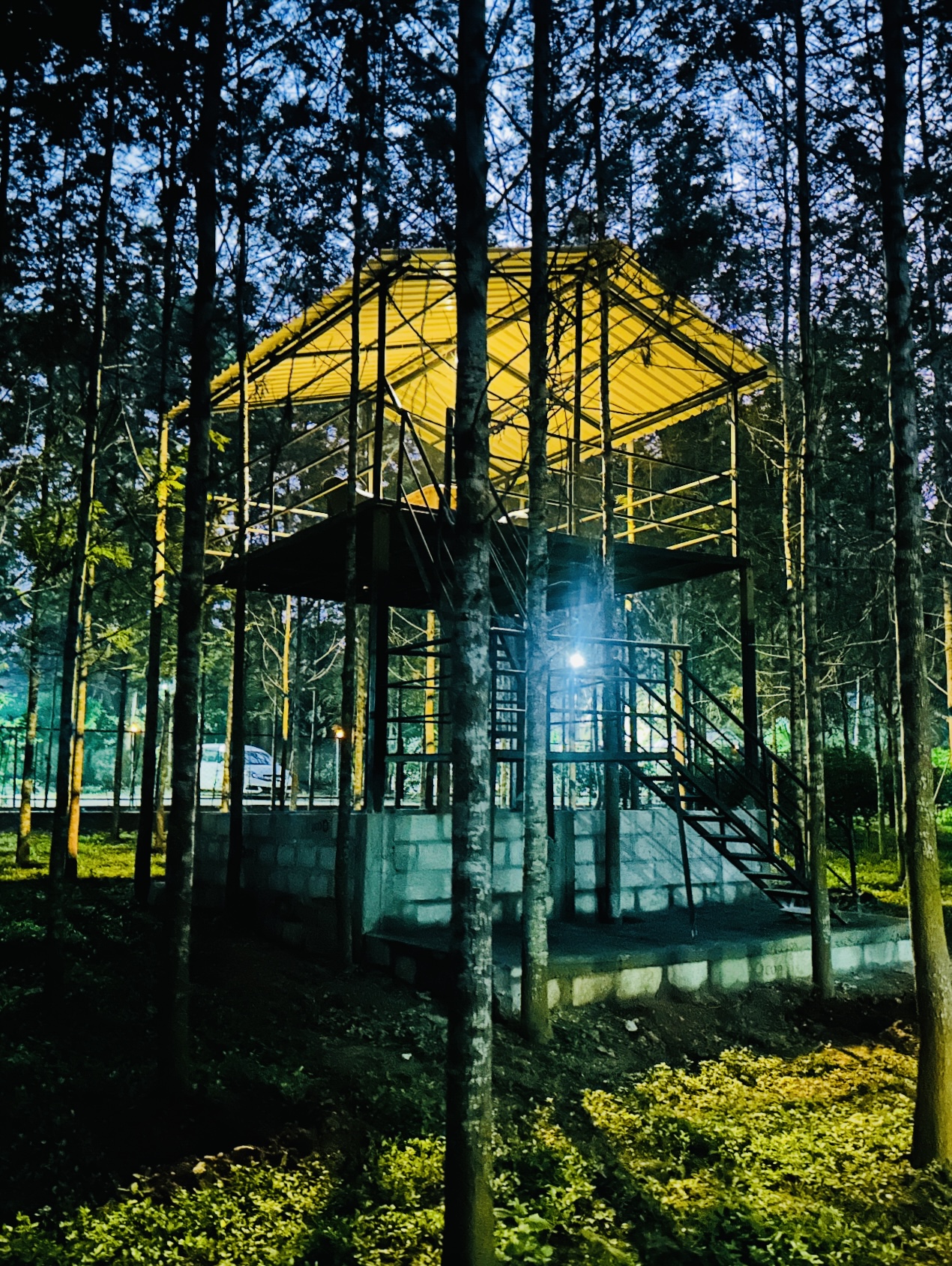 Villa surrounded by silver oaks at 1000 Silvers