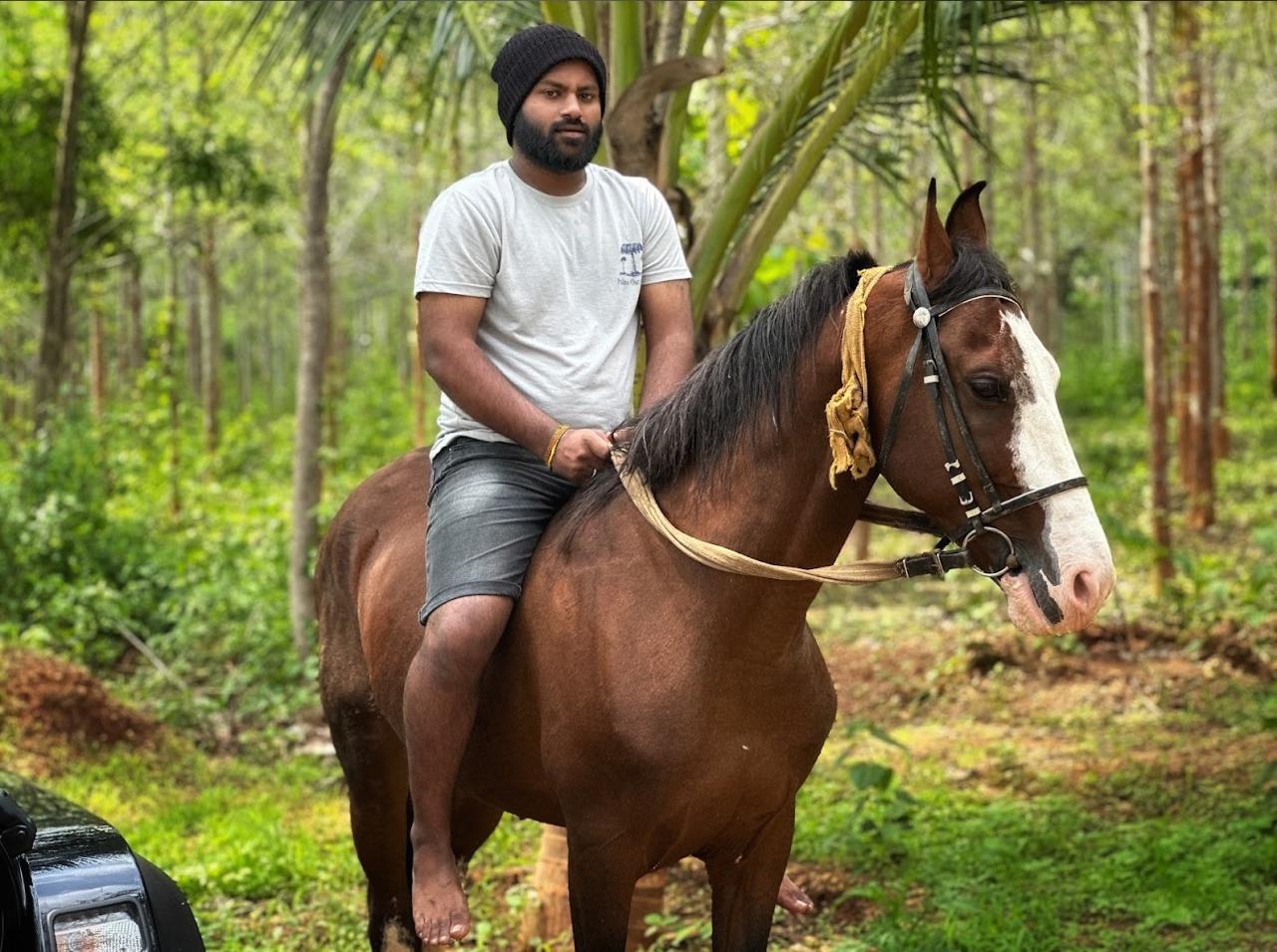 Horse Riding